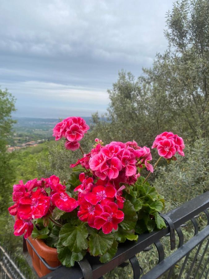 Villa Maria Zafferana Etnea Zewnętrze zdjęcie